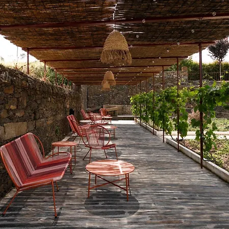 Feel Discovery Casa Da Lameira Douro Valley