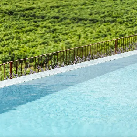 アパート Casa Da Lameira Douro Valley ペーゾ・ダ・レーグア