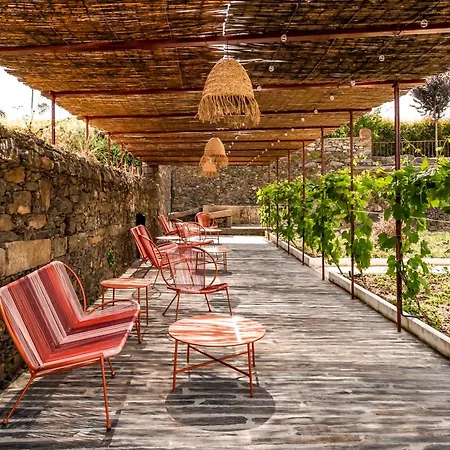 아파트 Casa Da Lameira Douro Valley *
