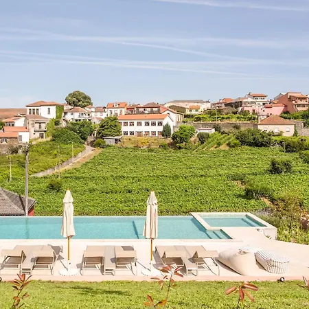 דירה Casa Da Lameira Douro Valley פסו דה רגואה