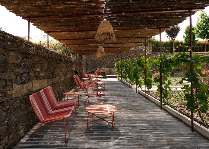 Feel Discovery Casa Da Lameira Douro Valley