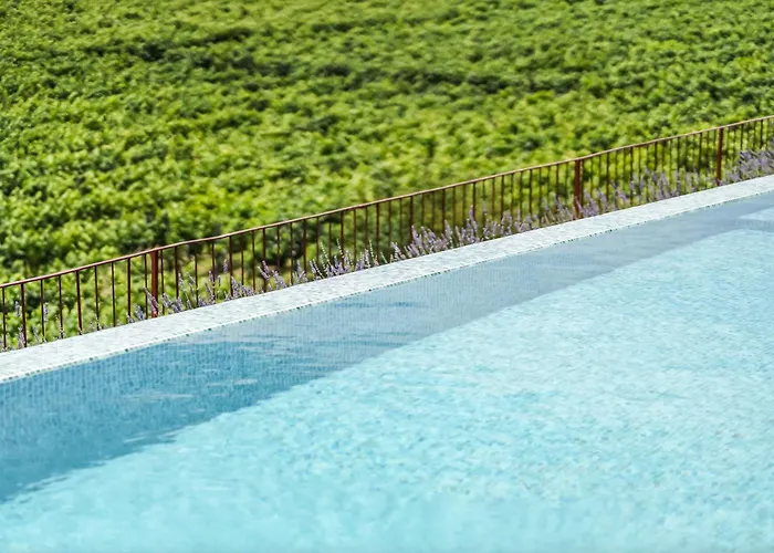 Daire Casa Da Lameira Douro Valley Peso da Régua